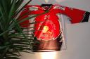 repas_de_soutien_20080001.JPG